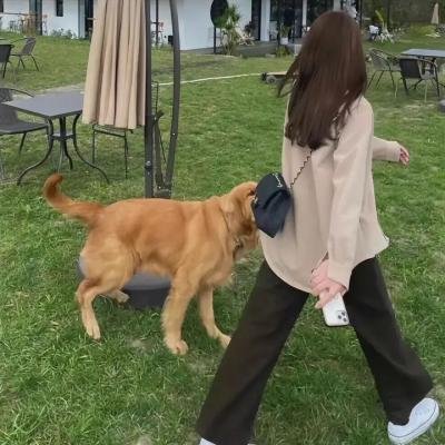 穿越时光爱上你